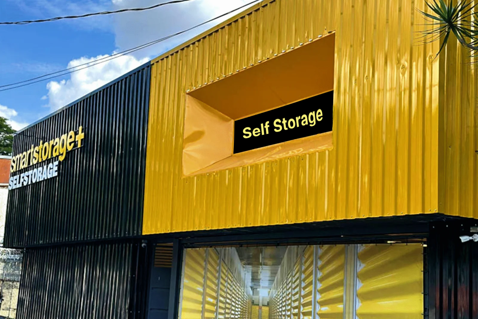 Limao-ABR-23-58-4-scaled